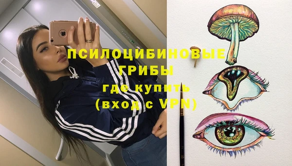 мяу мяу мука Алзамай